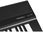 Medeli SP201 Plus BK - stage piano - zdjęcie 6