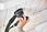 Festool Przewód Plug It H05 Rn F 10 203937 - zdjęcie 2