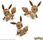 Klocki Mega Construx Pokemon Eevee GMD34 - zdjęcie 4