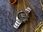 Citizen Super-Titanium AT2480-81E - zdjęcie 2