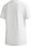 T-shirt, koszulka damska adidas Trefoil Tee FM3306 Rozmiar: 34 - zdjęcie 4