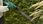Nożyce akumulatorowe Bosch EasyHedgeCut 18-45 0600849H02 - zdjęcie 3