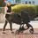 Baby Jogger Gondola City Mini 2 Gt2 Opulent Black - zdjęcie 4