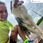 Todo Skarpety Biegowe Running Raid Oddychające, Płaskie Szwy, Zielone - zdjęcie 6