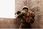 Source Tactical Gear Nawadniający Zestaw Military Convertube - zdjęcie 3
