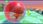 Super Monkey Ball Banana Mania Launch Edition (Gra PS5) - zdjęcie 3