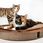 Canadiancat Playplate Plac Zabaw Dla Kota Z Drapakiem - zdjęcie 9