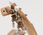 Korg Minipitch Or Tuner Do Ukulele Pomarańczowy - zdjęcie 3