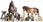 Karma dla kota Brit Care Cat Grain Free Insect&Herring Sensitive 7KG - zdjęcie 7