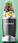 Nutribullet NB606DG - zdjęcie 5