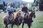 Film DVD Zaklinacz Koni (The Horse Whisperer) (DVD) - zdjęcie 6