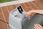 Jacuzzi Bestway Lay-Z-Spa Mauritius Jacuzzi - zdjęcie 6