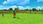 Gra Nintendo Switch Tee Time Golf (Gra NS) - zdjęcie 3