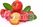 Berries Polska Sok Bio Acerola 100% Z Aceroli 250Ml - zdjęcie 6