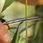 Fiskars Nożyczki Solid Sp160 Micro-Tip 1063325 - zdjęcie 7