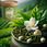 Herbata Zielona Herbata Brown House Tea Jasmine Tea 40g - zdjęcie 5