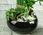 Doniczka Osłonka Ceramiczna Bonsai Piano Czarna 24 - zdjęcie 3