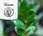 Doniczka Misa Roma Jumper Eco Recycled 330 Czarny - zdjęcie 9