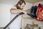 Odkurzacz Karcher WD 3 S V-15/6/20 Home 1.628-150.0 - zdjęcie 9