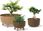 Doniczka Gracia Low Eco Wood Dgrl400Lw Antracyt Eco - zdjęcie 2