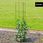 Kolumna Pergola Ogrodowa Na Kwiaty Róże 150 cm - zdjęcie 4