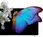 Telewizor Telewizor OLED Metz 55MOC9010 55 cali 4K UHD - zdjęcie 11