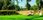 Barenbrug Trawa Resilient Blue Lawn 5kg - zdjęcie 4