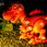 Lisciani Giochi Lisciani Im A Genius Science Dino Stem T-Rex - zdjęcie 7