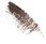 Inglot Modelujący Tusz Do Brwi 05 | 4 Ml - zdjęcie 5