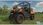 Gra na PC Farming Simulator 22: Kubota Pack (Gra PC) - zdjęcie 4