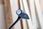 Młotek Bosch Młotek ślusarski Professional 1600A016BT - zdjęcie 2