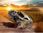 Revell Samochód Rc Dla Początkujących Rv Car Desert Rat 1:10 Elektryczny 470 Mm (RVRCCARDESERTRAT) - zdjęcie 2