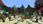 Minecraft Java & Bedrock Edition (Digital) - zdjęcie 9