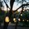 Girlanda Ogrodowa 50M + Led 6W G80 Amber E27 ⌀8Cm - zdjęcie 11