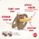 NUK Smoczek for Nature, 0-6m-cy, lateksowy, terakota 2 szt - zdjęcie 4