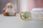 PHILIPS AVENT Ultra Air 6-18M 2 szt. SCF085/20 zielony/szary - zdjęcie 8