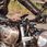 Akcesoria motocyklowe Sp Connect Bundle Samsung Galaxy S22 Ultra - zdjęcie 6