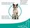 Karma dla psa Brit Veterinary Care Dog Gluten & Grain Free Sterilised 12Kg - zdjęcie 3