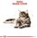 Karma dla kota Royal Canin Maine Coon 48x85g - zdjęcie 5