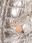 Pinko Kurtka puchowa Brunella 1 1G17Z5 A03G Srebrny Relaxed Fit - zdjęcie 5