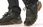 Buty zimowe SALOMON X REVEAL CHUKKA CSWP 2 (417630) - zdjęcie 5