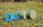 Britains 1:32 Fleming Bale Lifter Tractor Toy Acc - zdjęcie 2