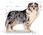 Karma dla psa Royal Canin Medium Sterilised 12kg - zdjęcie 8