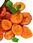 Premium Parrot Food - Dzika Morela Suszona - dla wszystkich papug 100g - zdjęcie 2