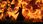 Hogwarts Legacy Edycja Deluxe (Xbox Series Key) - zdjęcie 2