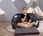 Mini Sofa Rozkładana Z Pianki Dla Dzieci Delsit - zdjęcie 4