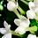 Perfumy Yodeyma Boreal Perfumy 15 ml - zdjęcie 6