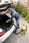Odkurzacz Karcher WD 3-18 S V-17/20 1.628-575.0 - zdjęcie 4