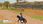 Gra Nintendo Switch My Life Riding Stables 3 (Gra NS) - zdjęcie 6