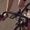Wahoo Licznik Rowerowy Elemnt New Roam Gps V2 Czarny Wfcc6 - zdjęcie 7